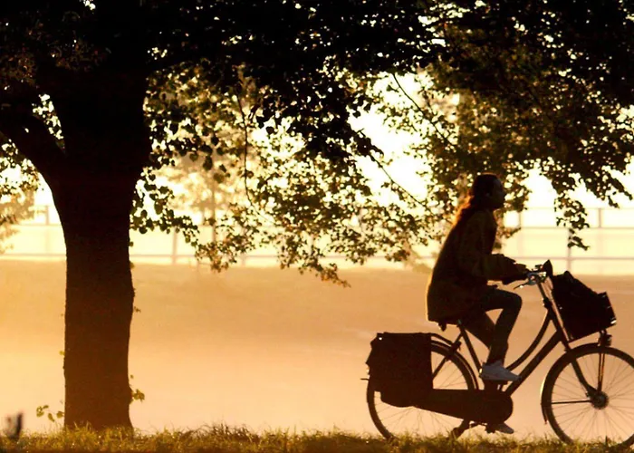 Residencia Vandrarhem *